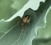 Screenshot 2025-07-20 at 7.06.00 PM.png