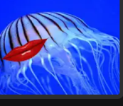 Screenshot 2025-12-17 9.59.46 PM.png