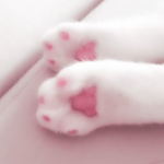 Screenshot 2026-01-17 9.12.51 PM.png