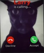 LARRY IS CALLING.jpg