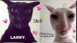 James and Larry🛐🛐.jpg