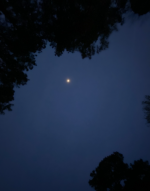 Screenshot 2026-03-25 9.34.32 PM.png