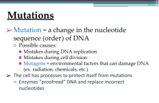 Screenshot 2026-03-31 9.07.30 AM.png