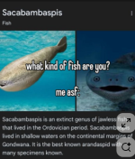 Screenshot 2026-05-11 165644.png
