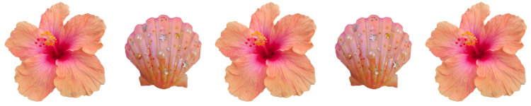 tumblr_8c470038b842aa14f2deb6e6fc19d201_2c373b95_2048.png