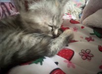 IMG_9449.jpeg
