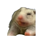 1784344551115.png