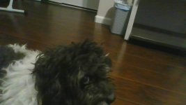 IMG_20260721_150315.jpg