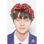 Junho flower crown.jpg