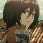mikasa.jpg