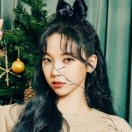 rothy_kang