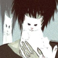 张|•ᴍᴏᴄʜɪɪシ︎