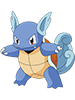 Wartortle