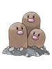 Dugtrio