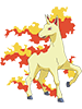 Rapidash
