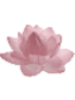 Pixel Lotus